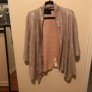 Zara metallic Jacket from Spain